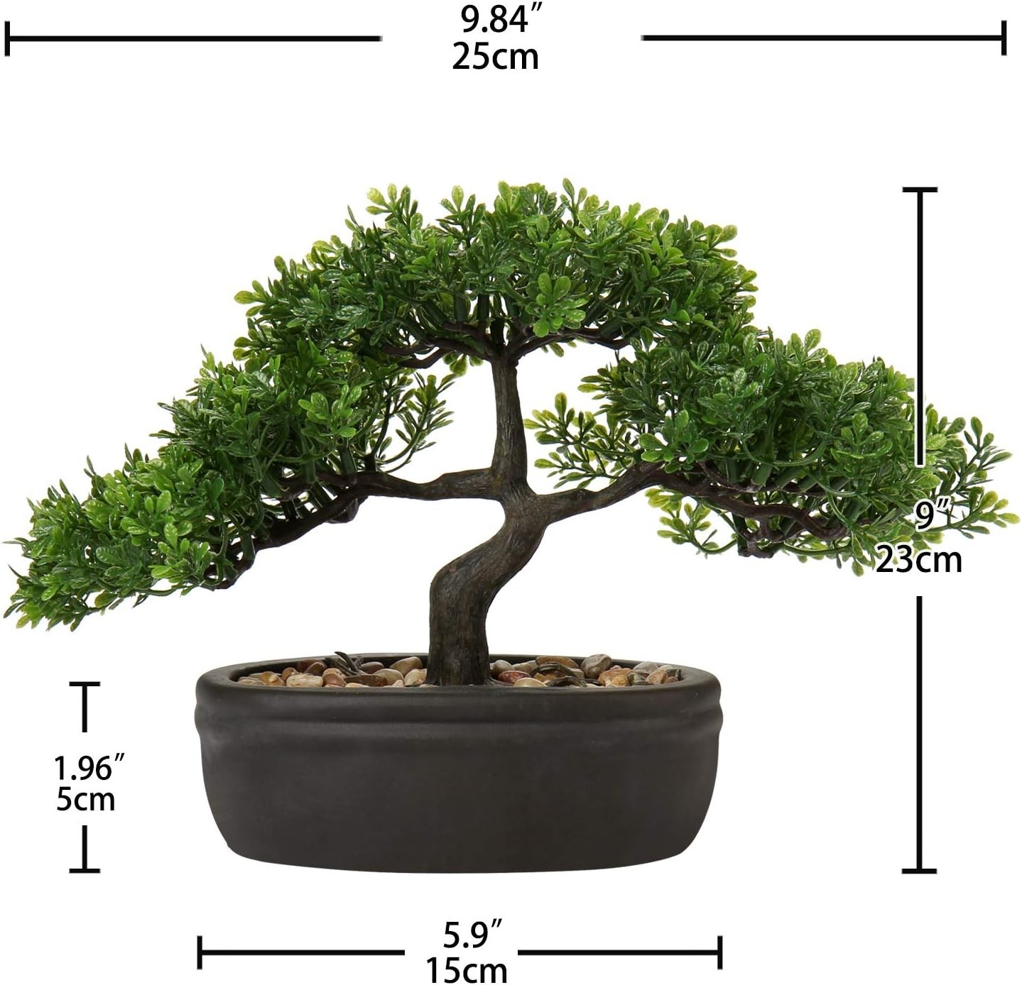 Mini Juniper Bonsai Tree with Ceramic Pot*