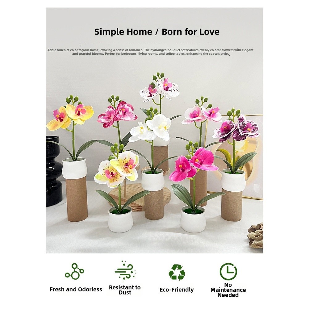 Phalaenopsis Orchid Potted Plant 11x11x18cm Plastic for For MINI Indoor Display