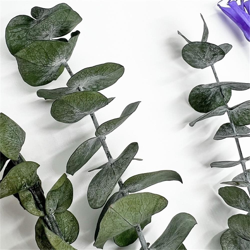 Pemberly Row 10-inch High Real Preserved Mixed Bouquets in Small Size