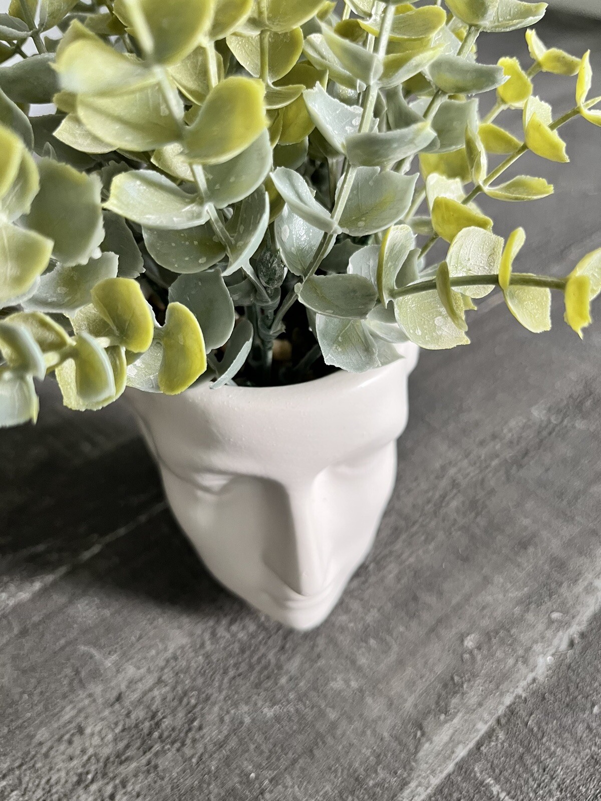 Man Head Planter Bust With Green Succulent Decor White Matte Finish New