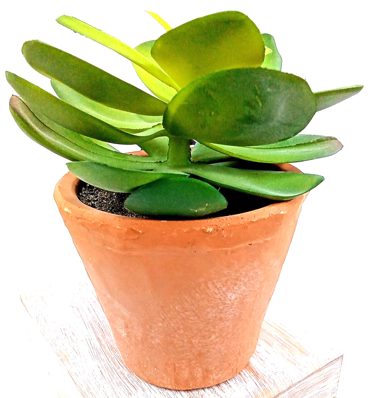 Succulent Clay Pot Planter Faux Dirt Artificial Plastic Green Floral Indoor 6×4″