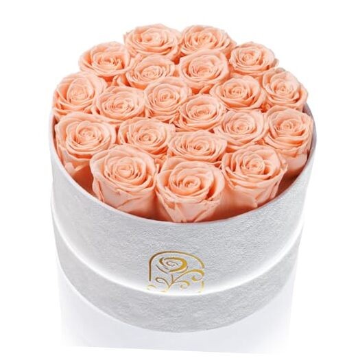 Gifts for Women Preserved Roses Flower Box, Luxury Velvet 20 Roses Peach Pink