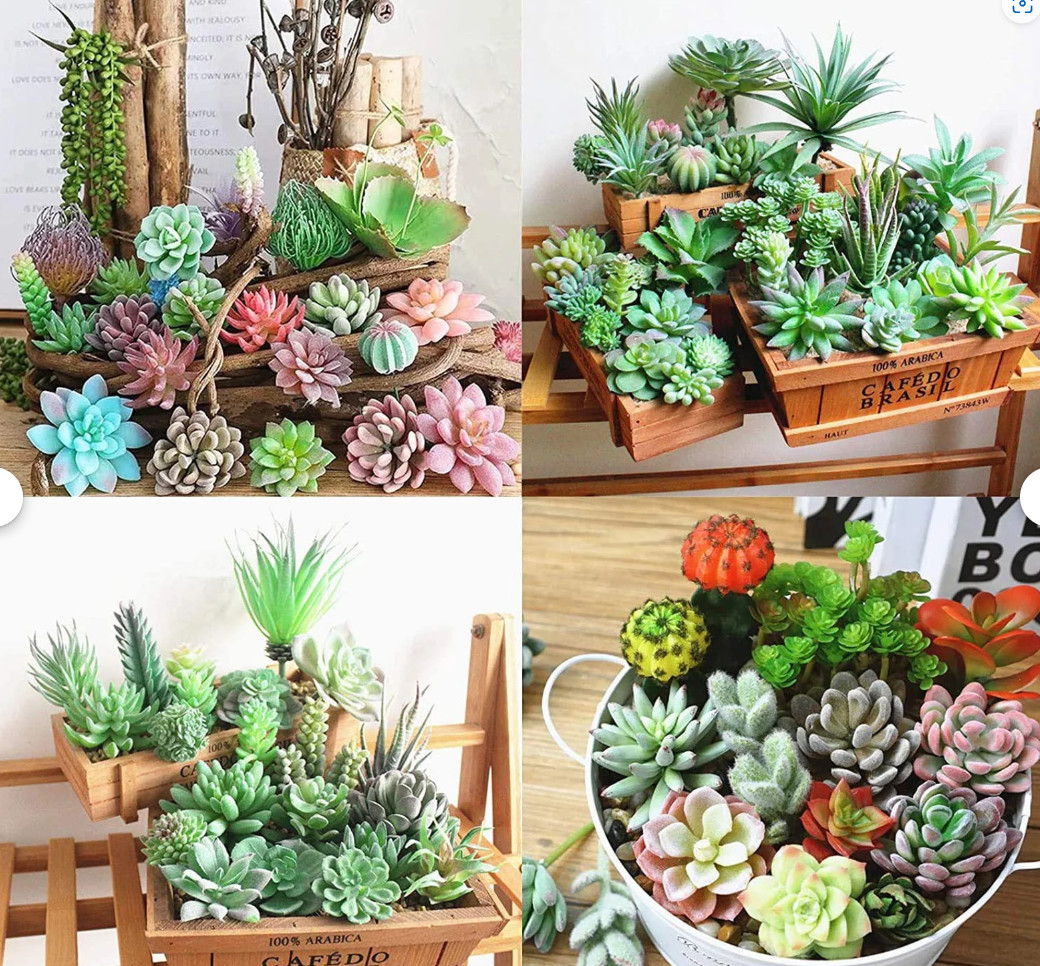 Assorted Faux Succulent Plant 10 pc Set – Artificial / Fake Realistic Indoor
