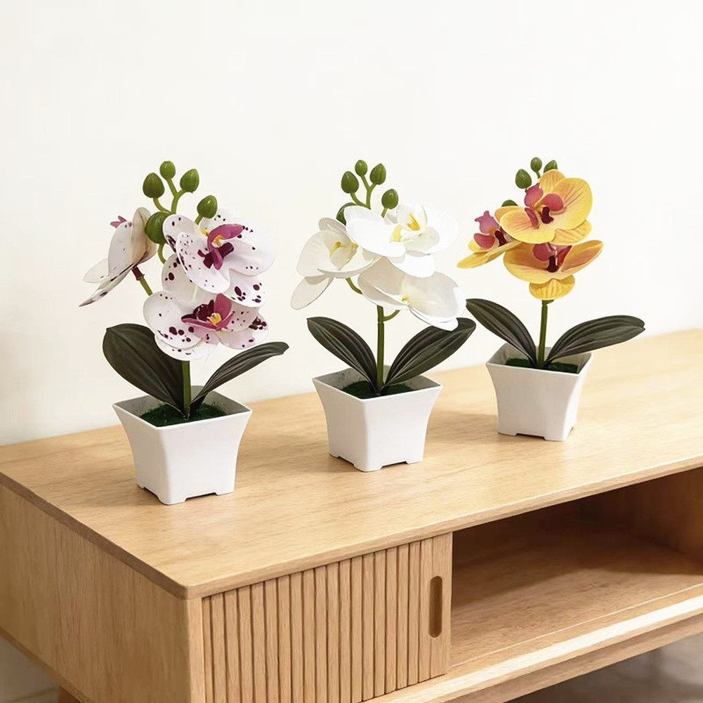 Compact Artificial Phalaenopsis Orchid Arrangement 19cm Tall Shelf Table Decor
