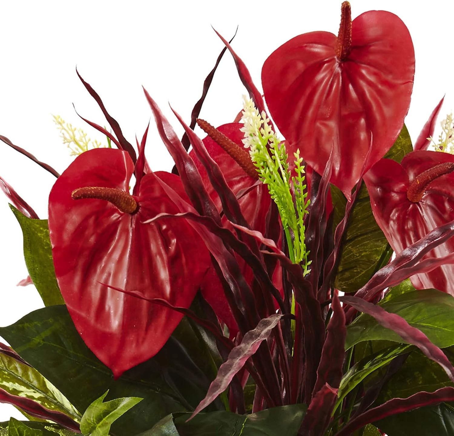 24In. Mixed Anthurium Bush (Set of 2)