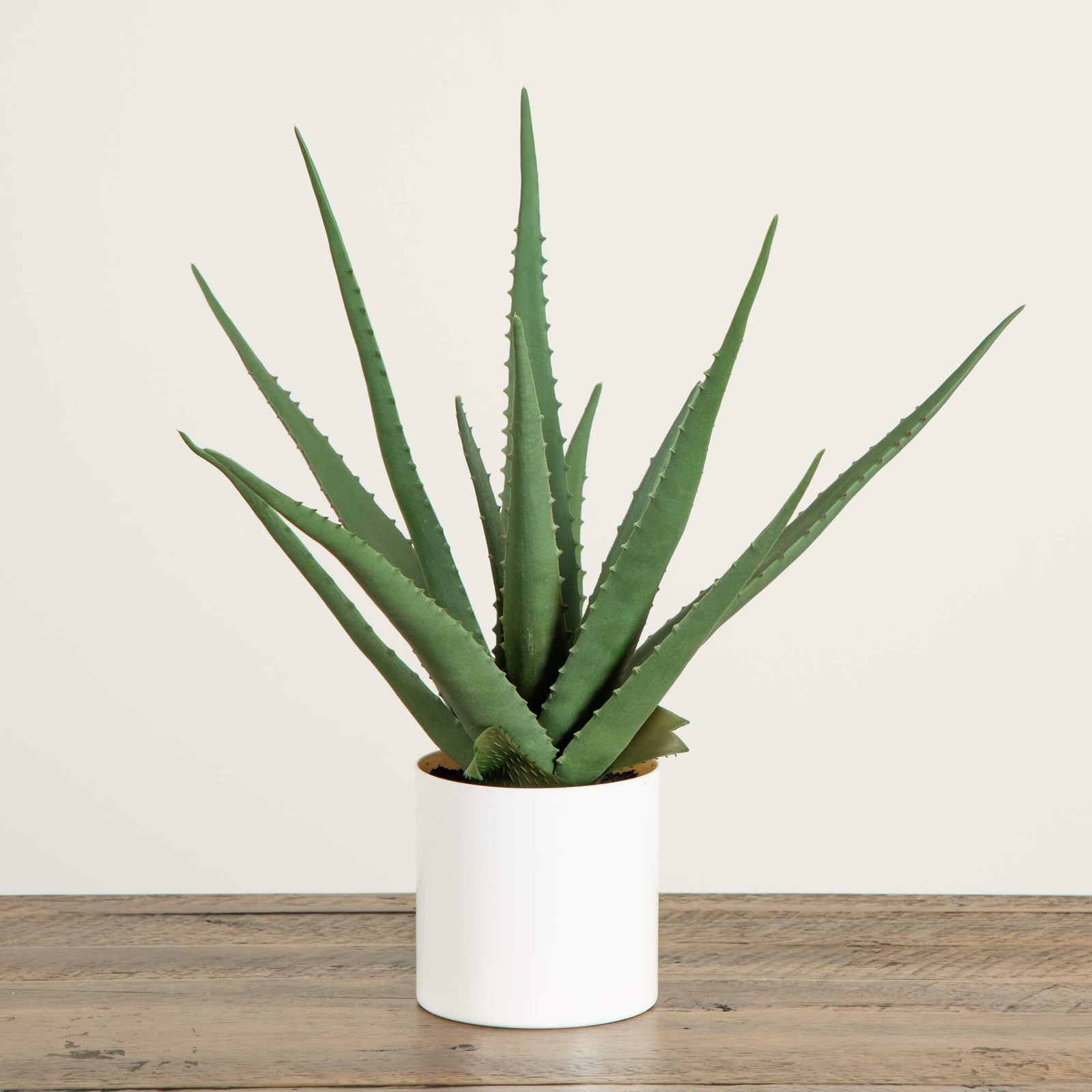 Artificial Agave Plant 17.5 Inch Spiky Leaves Desktop Decor with Planter