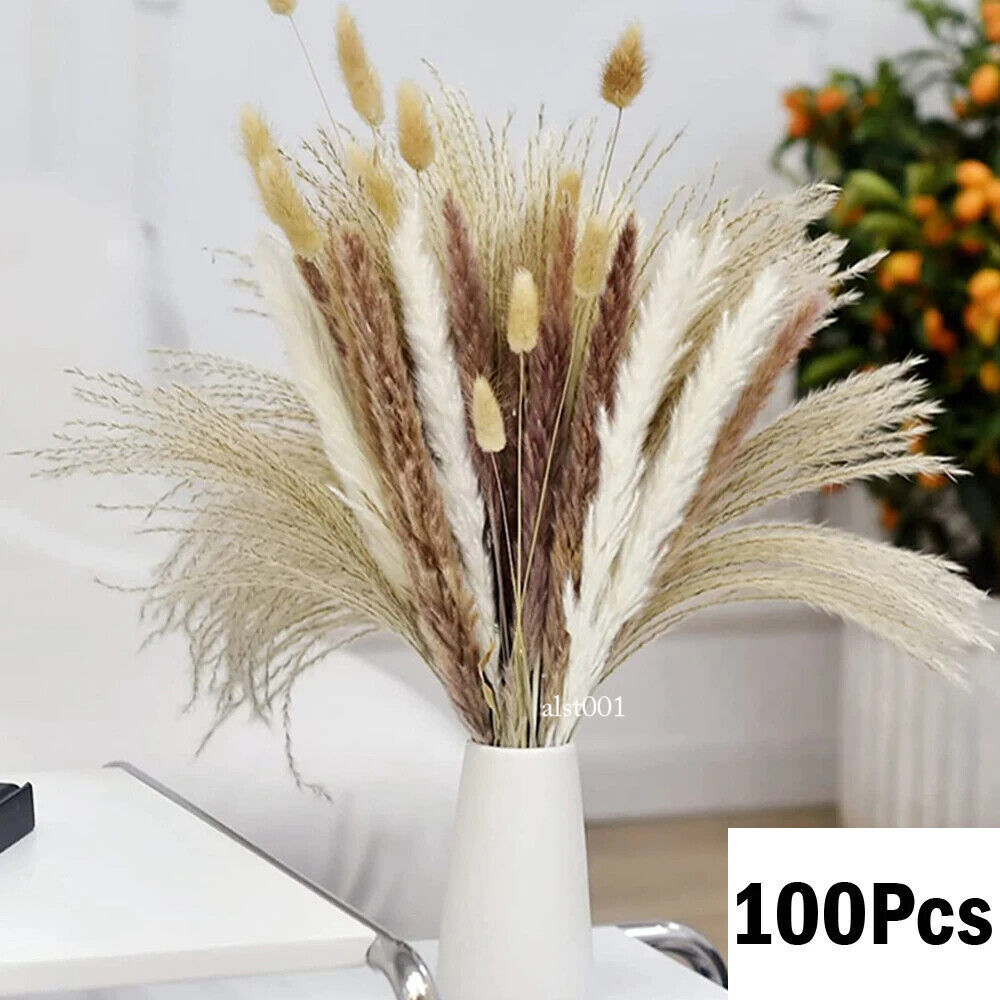 Grass Decor Home Decor Bouquet Natural Fluffy Dried Flowers for Wedding Floral