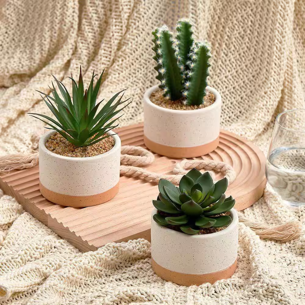 6.7 In. Green Indoor Artificial Succulent Plants in Ceramic Pots Set of 3