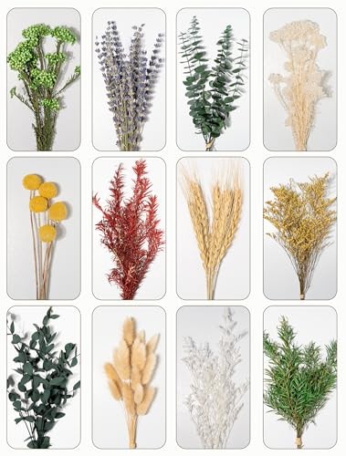 12 Kind Dried Flowers Set Natural Floral Bouquet for DIY Crafts Wedding Home Dec