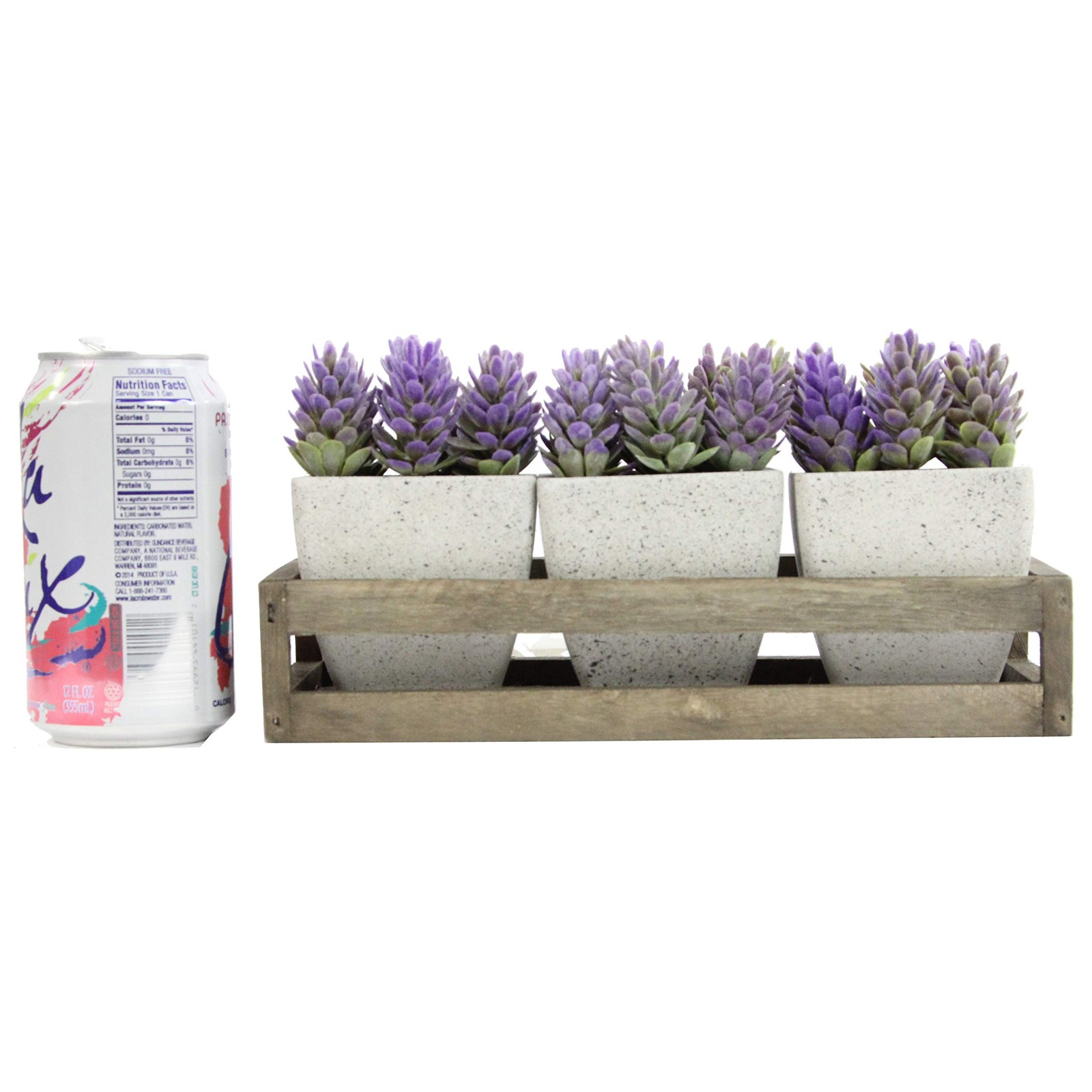 3pcs Succulents Terracota Rustic Style W/Wooden Tray Indoor Spring Summer Fau…