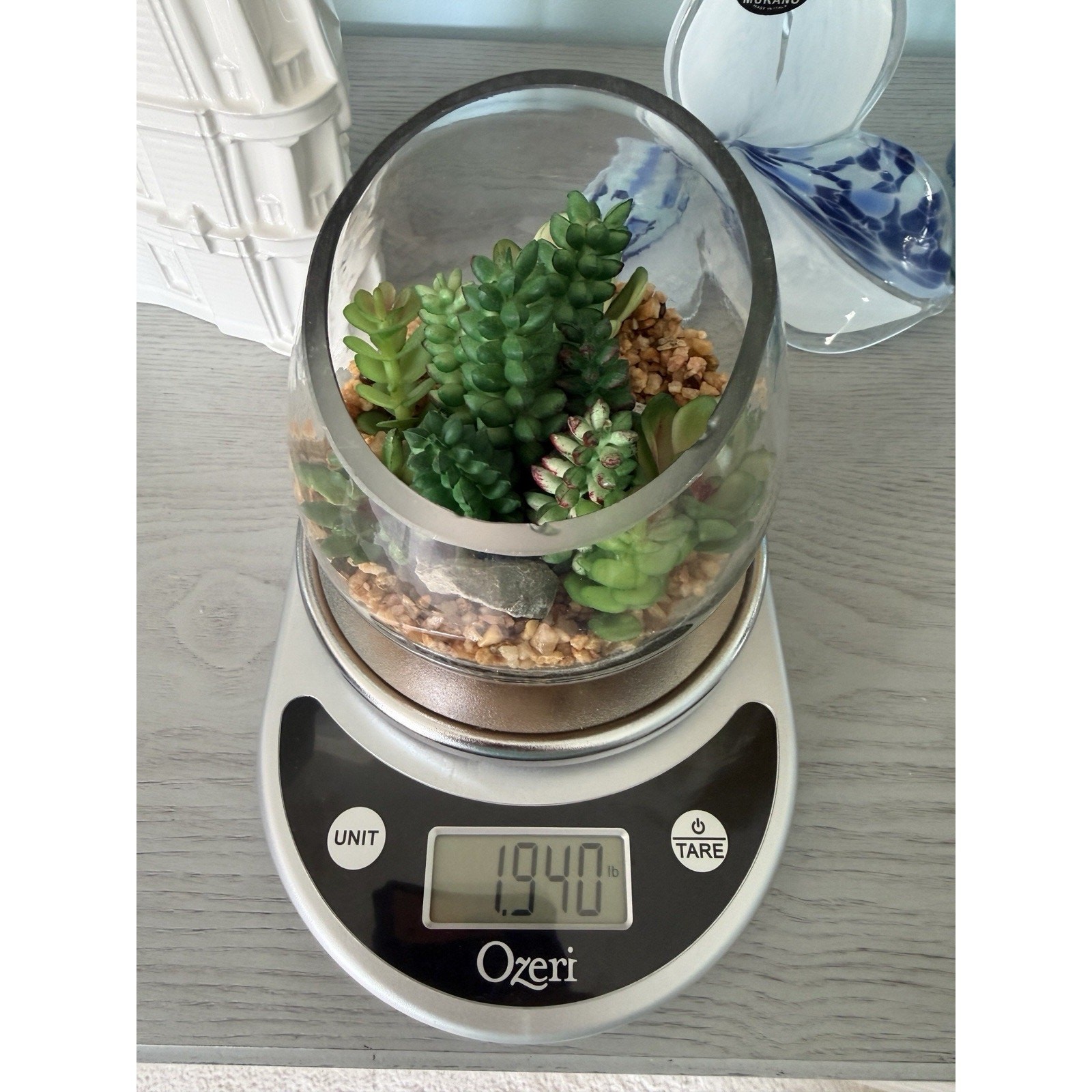 Faux Succulent Terrarium Bowl • Glass Cactus Arrangement • Tabletop Home Decor