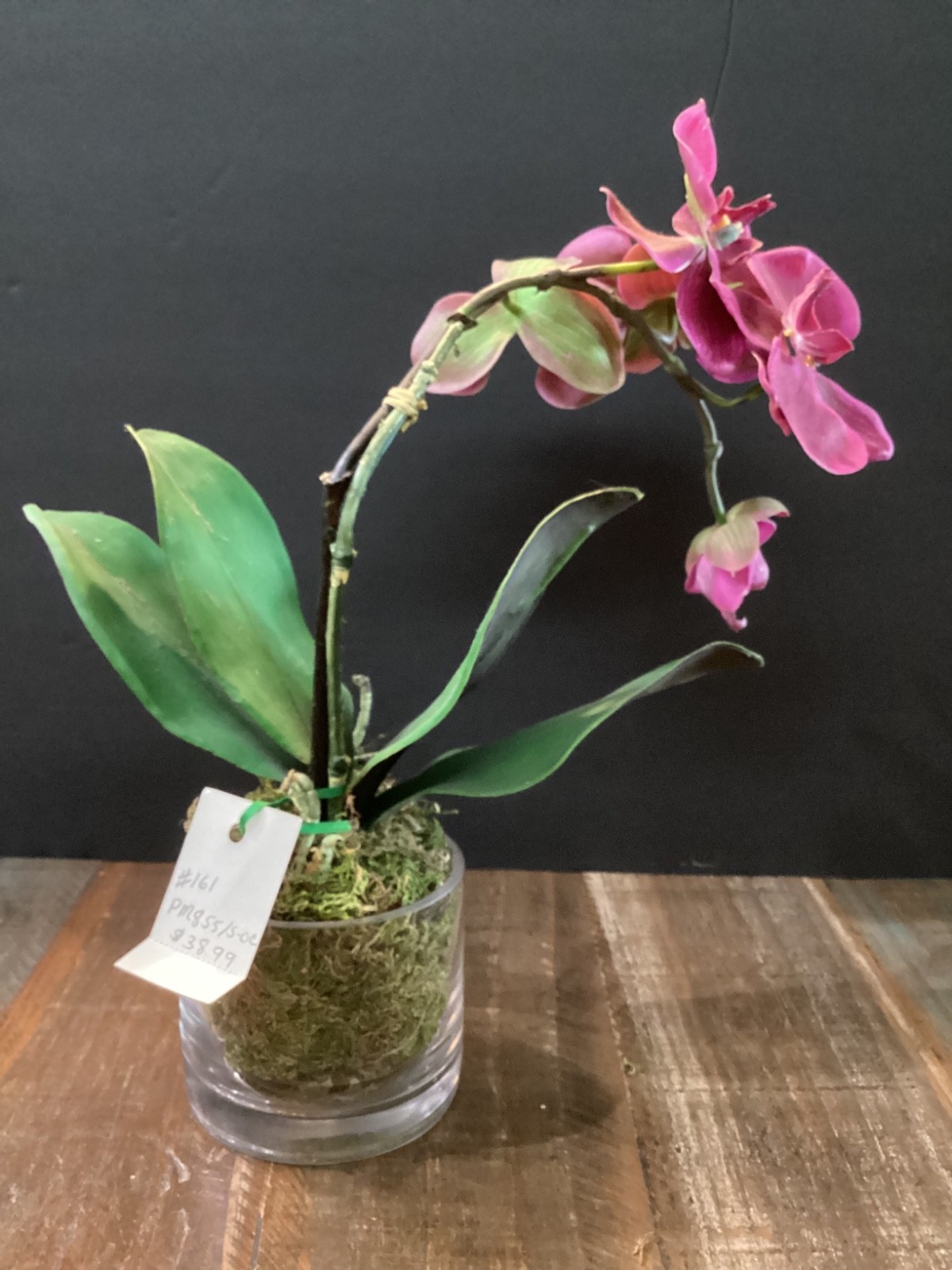 Realistic Artificial phalaenopsis Orchid plant in clear glass vase w/green moss