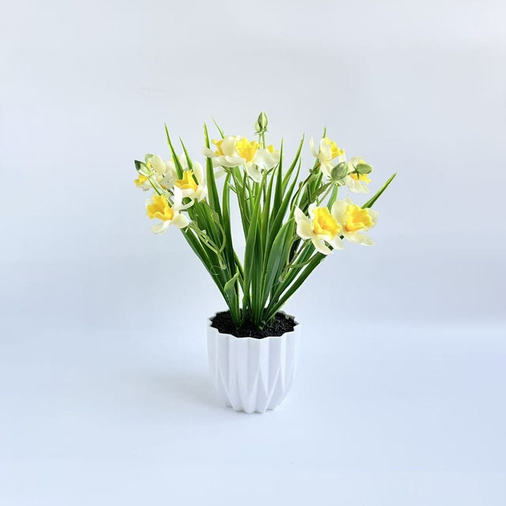 26.5 x 9.5cm Narcissus Flower Arrangement in Pot for Indoor Floral Styling