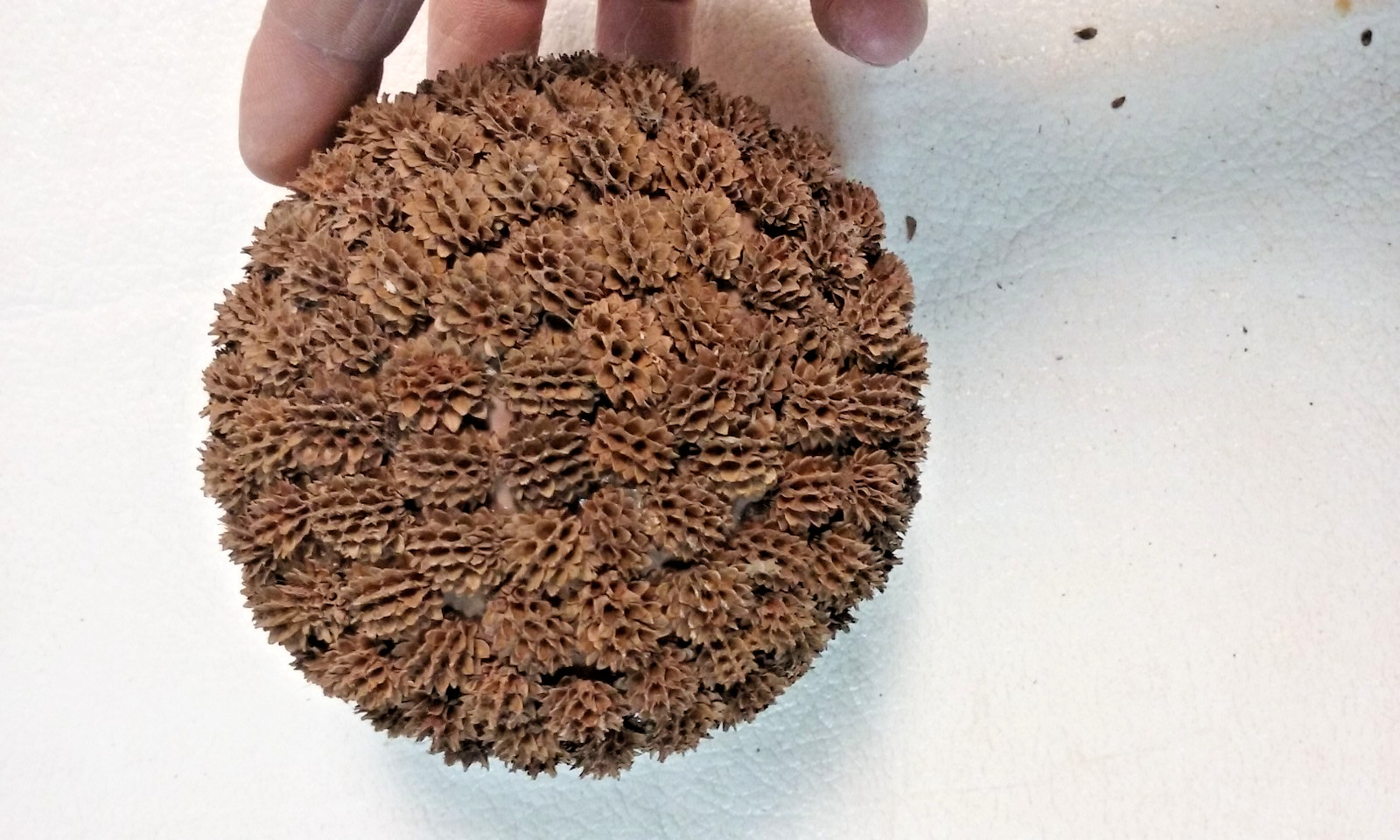3 Brown Seed Pod Mosaic Decorative Ball Ornaments 5″ to 6″ & 4″ to 5″ wide