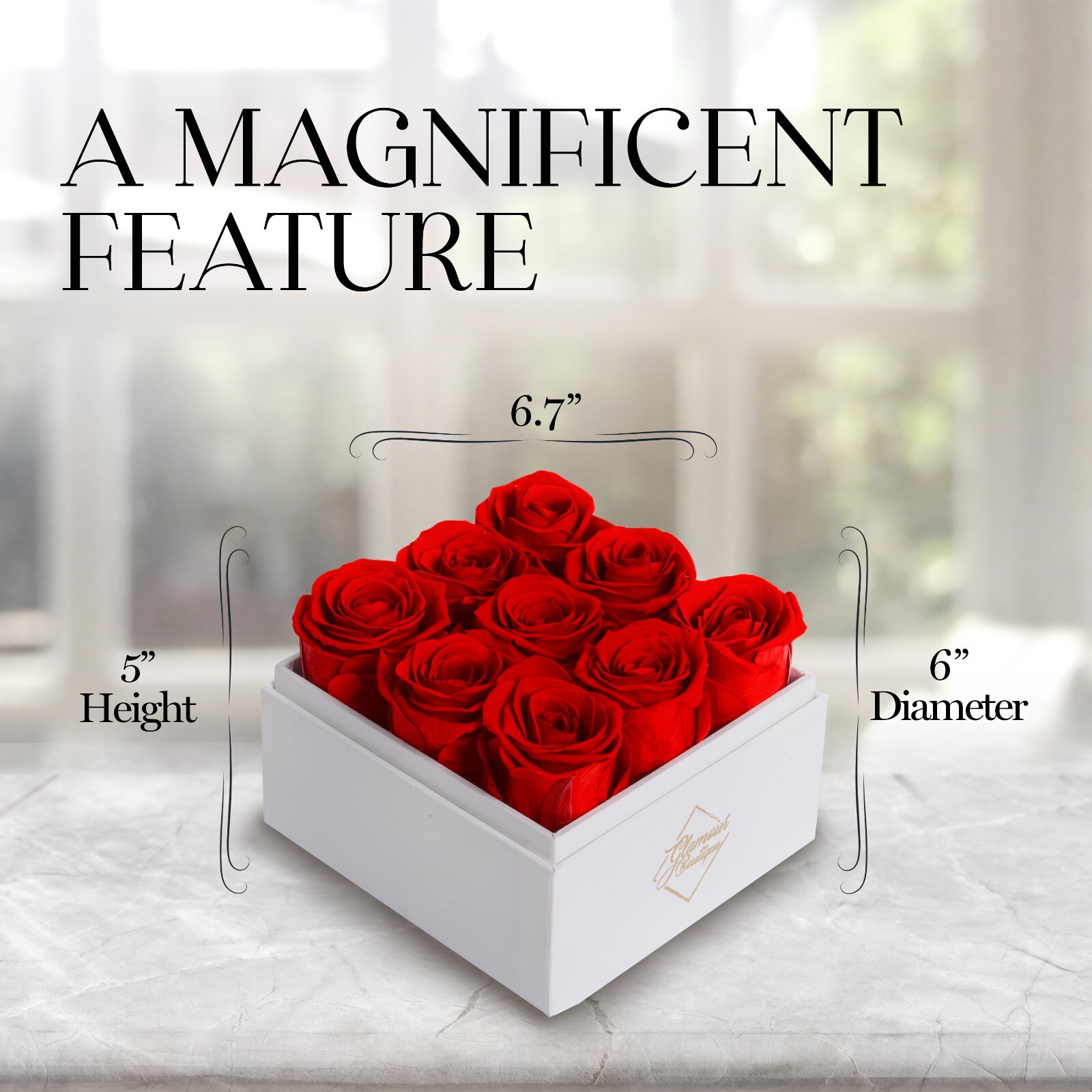 Glamour Boutique Preserved Roses in a Box 9-Piece Flowers Decor in Square Box