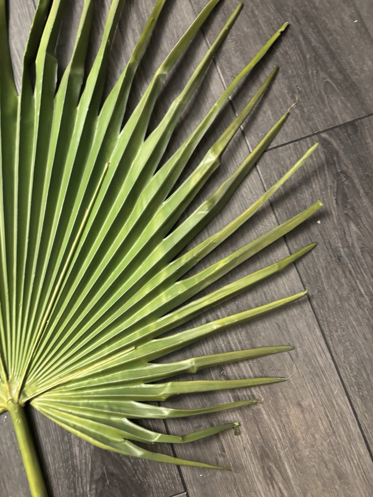 Large Fan Palm Leaf Stem 58” Tropical Boho Coastal Wedding Home Decor Prop