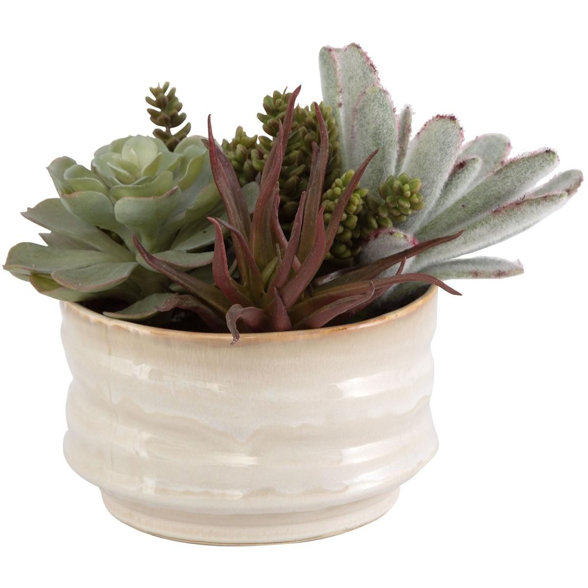 Uttermost 60209 Mesa Succulent Green with Textured Tan Glaze Succulent Accent