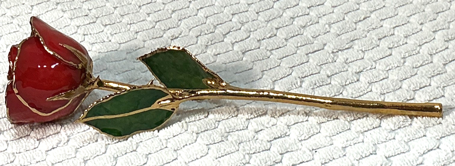 24k & Enamel Preserved Real Red Rose With Thorns Forever Keepsake