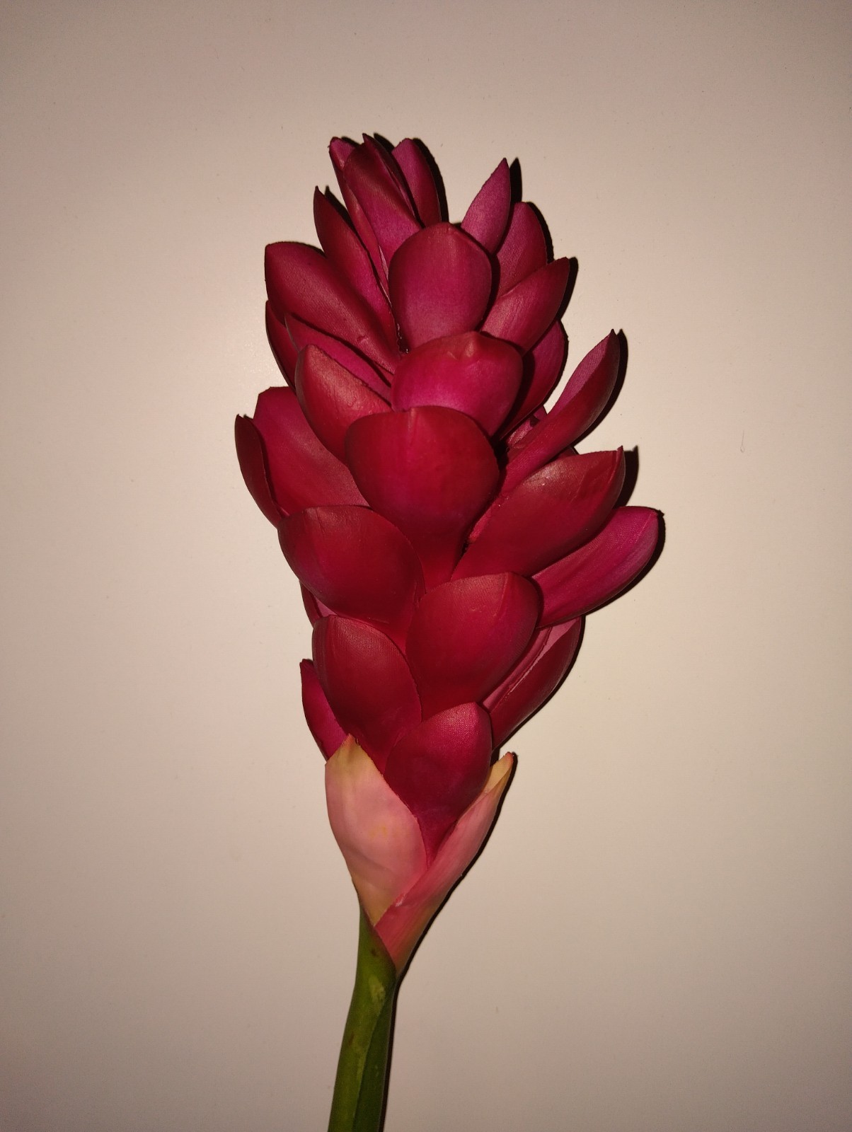 Ginger lily stem. Silk arrangements tropical Hawaiian flowers CRANBERRY