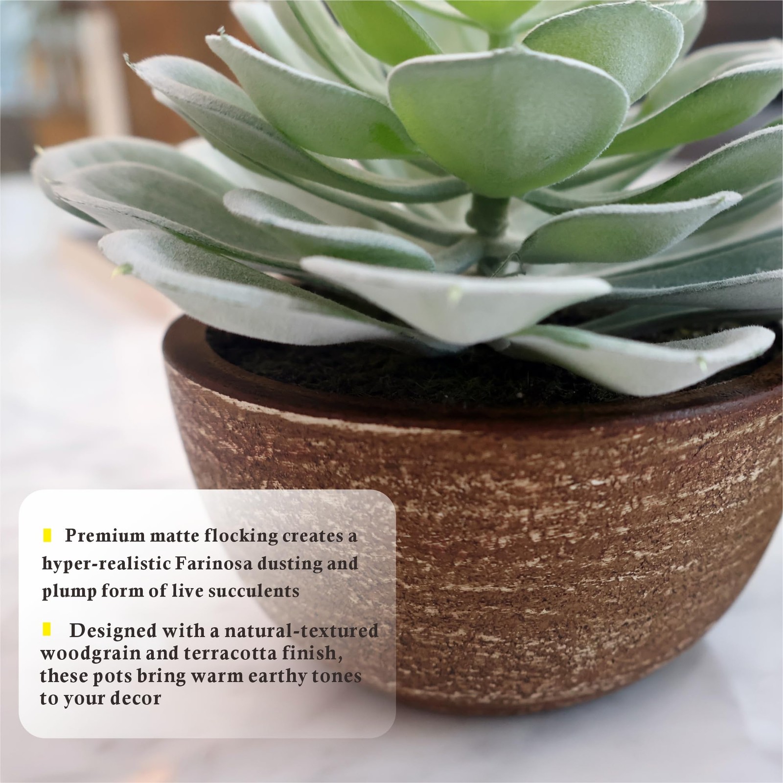 Artificial Succulents, Plastic Artificial Green Plant for Office, Home Decor …