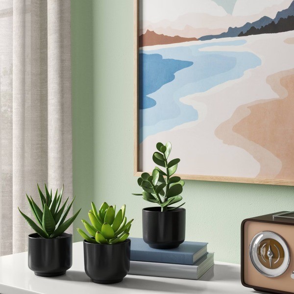 Succulent Artificial in Black Pot