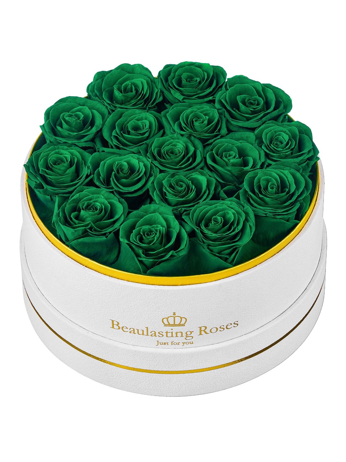 16 PCS Green Preserved Roses Forever Flowers Real In Box Birthday Delivery
