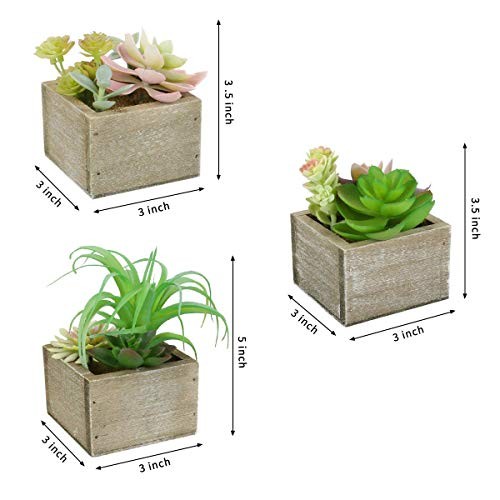Artificial Succulents in Pots, Artificial Plants for Home Decor Organic