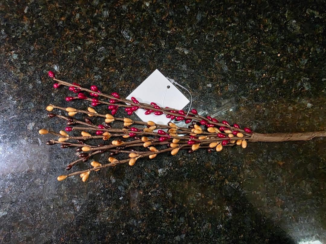 RARE Pip Berry Pecan Pie Mix 12″ Stem ~ Home Decor