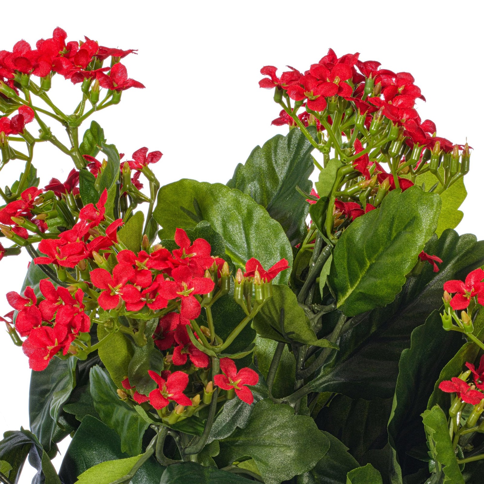 Vickerman 15″ Contemporary Fabric Artificial Kalanchoe Bush in Red