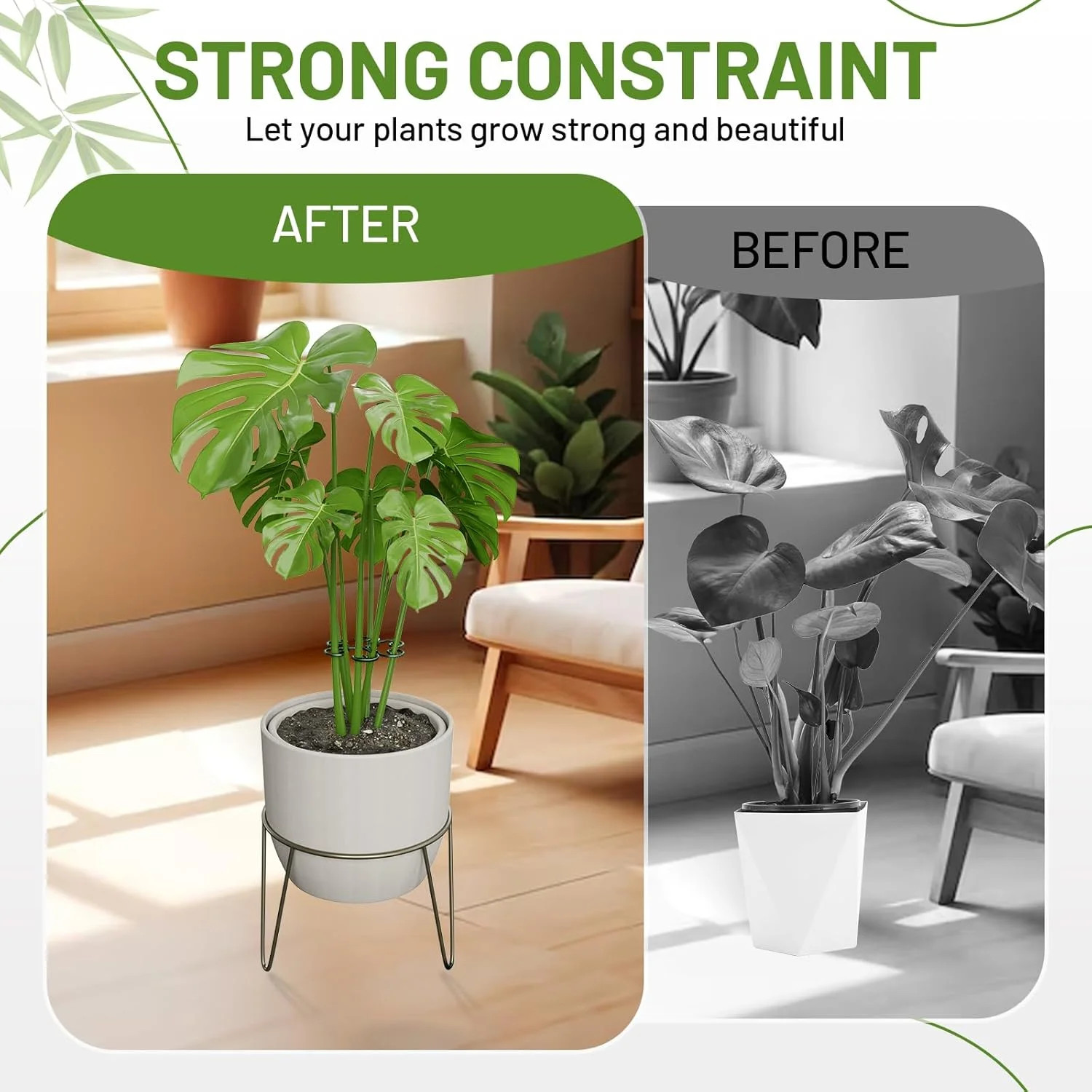 4PCS Green Iron Monstera Support, Uniquely Designed Plant Support Stakes for Ind