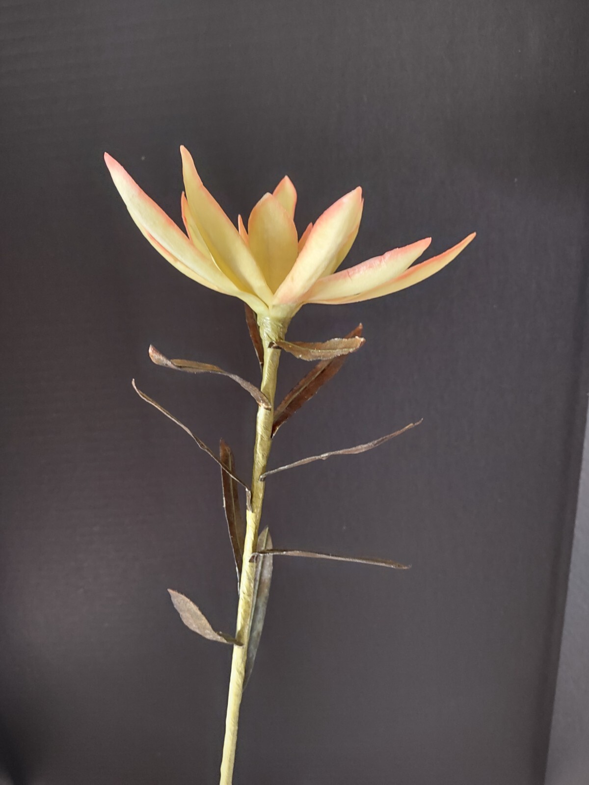 Artificial vintage star protea stems