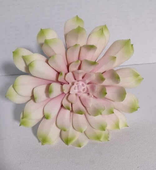 6″ soft touch echeveria pick, succulent