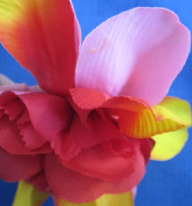 #3 Lot-12 Layers Used Silk Flower Petals 3.5-5″ Brads Multiple Colors Sizes