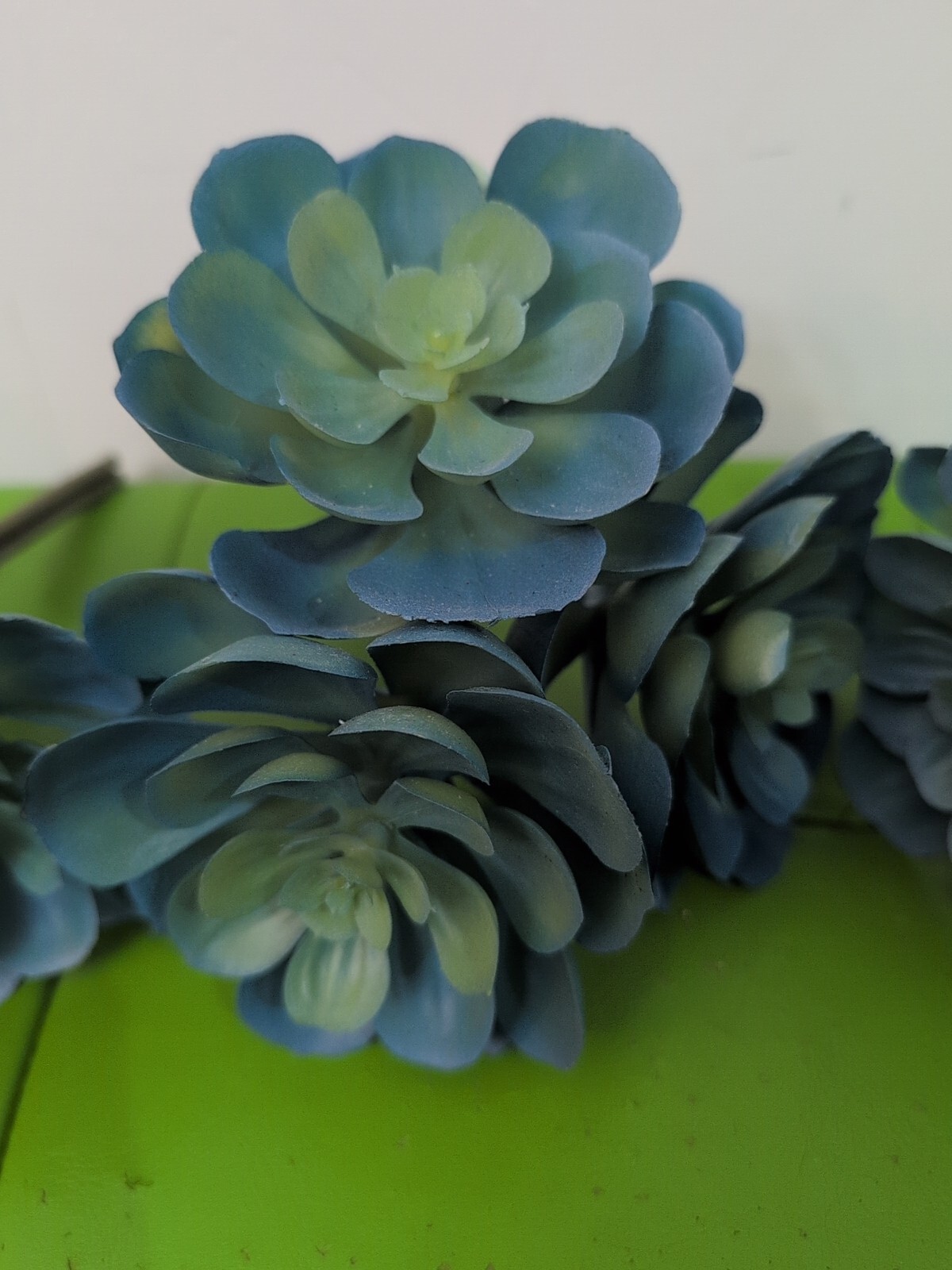 Artificial Green Blue Cluster Succulents Echeveria (3) Picks Spring