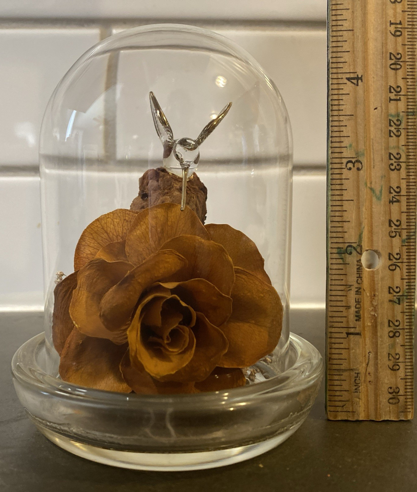 Colorado Naturals Dried Rose Floral Glass Dome Display with Glass Humming Bird