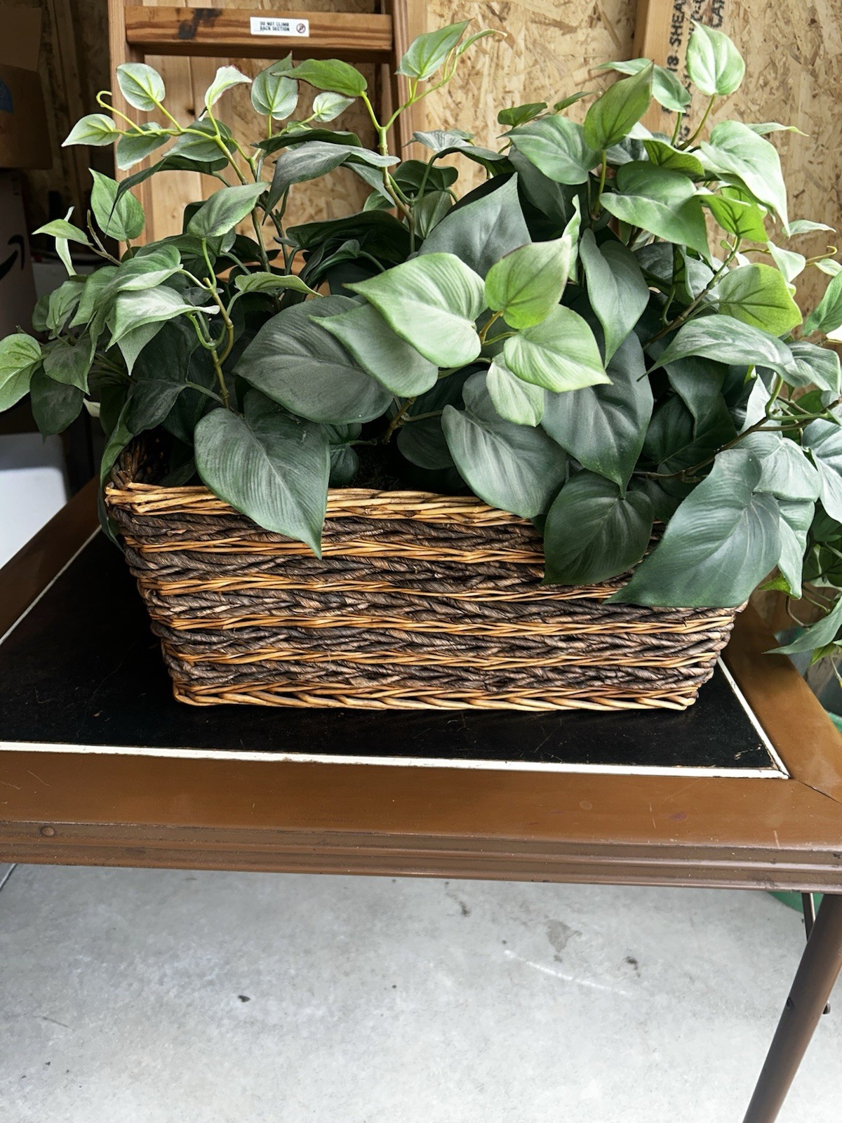 Artificial Ledge Plant In Basket, Home Decor
