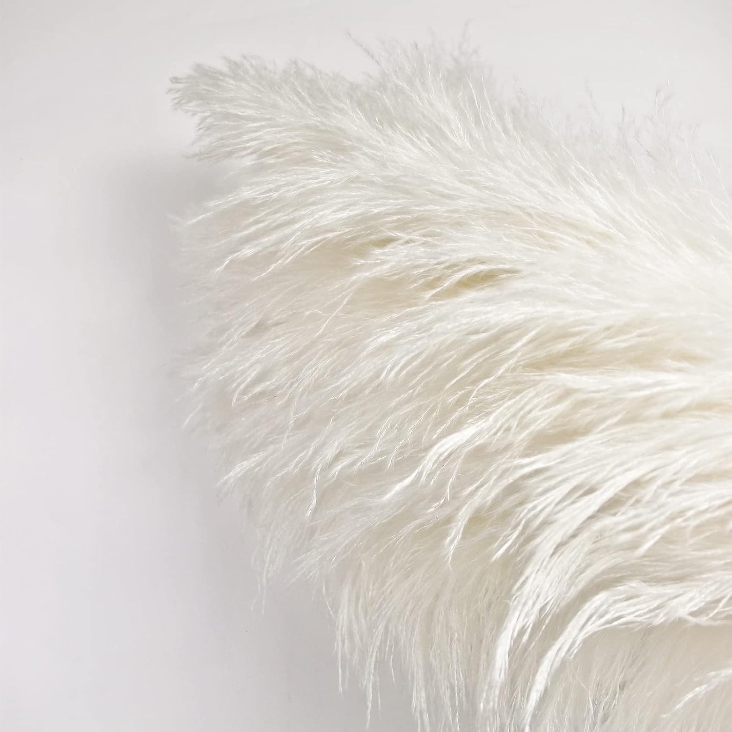 10 Stems 46″ inch White Pampas Grass Decor Tall Large Pompas Boho Neutral Home