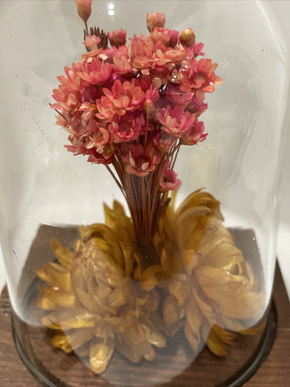 Vintage Leonard Creations California Dried Flower Glass Dome on Wood Base