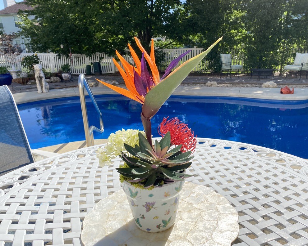 Decorative Planter with Dragon Flowers and Tropical Flowers in Butterfly Pot
