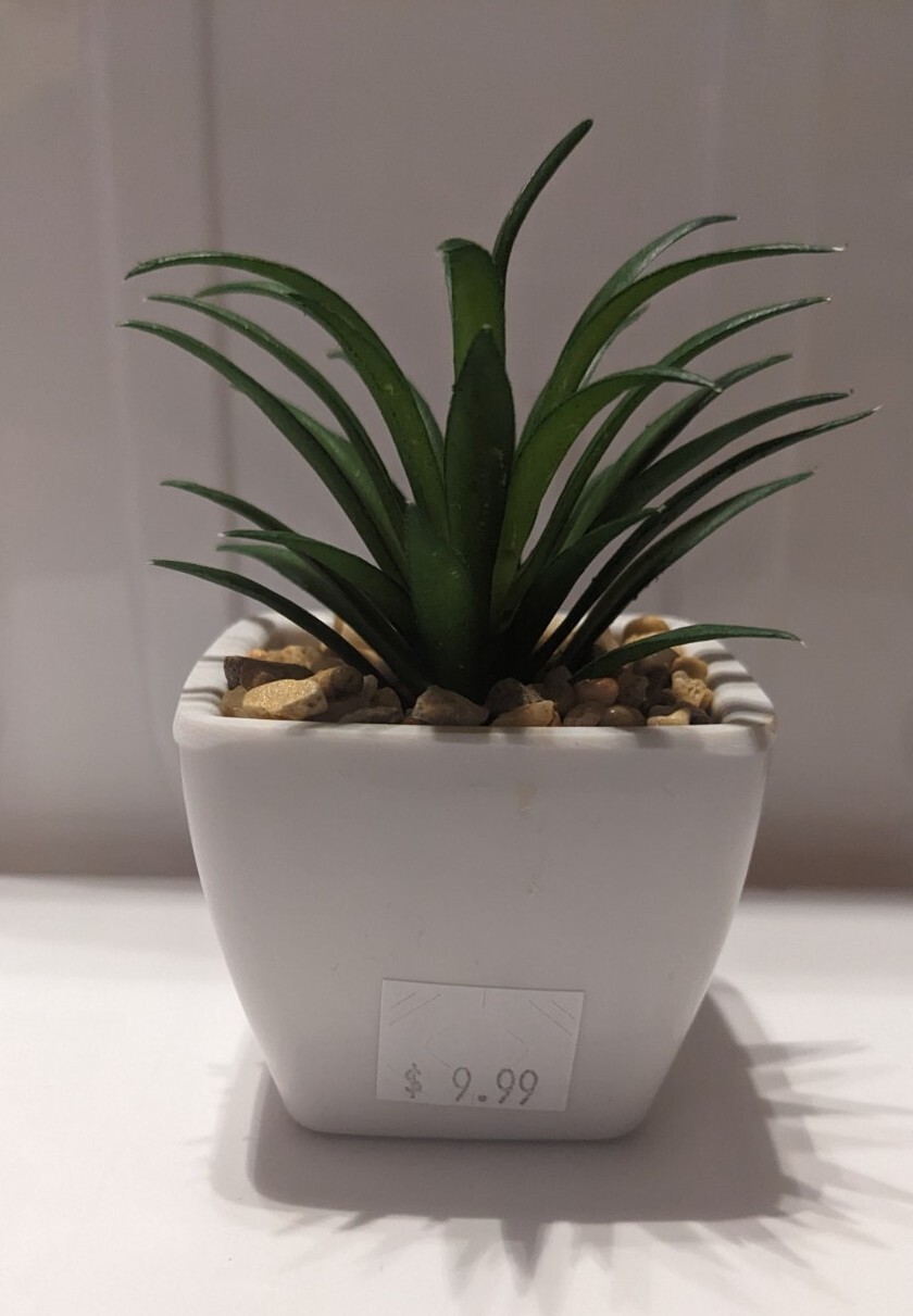 Desk-Plant Trinket Keepsake w Message ‘Love You To Moon And Back’