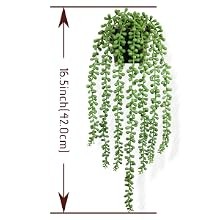 Realistic Artificial String of Pearls Plant – Faux Hanging Succulent Trailing