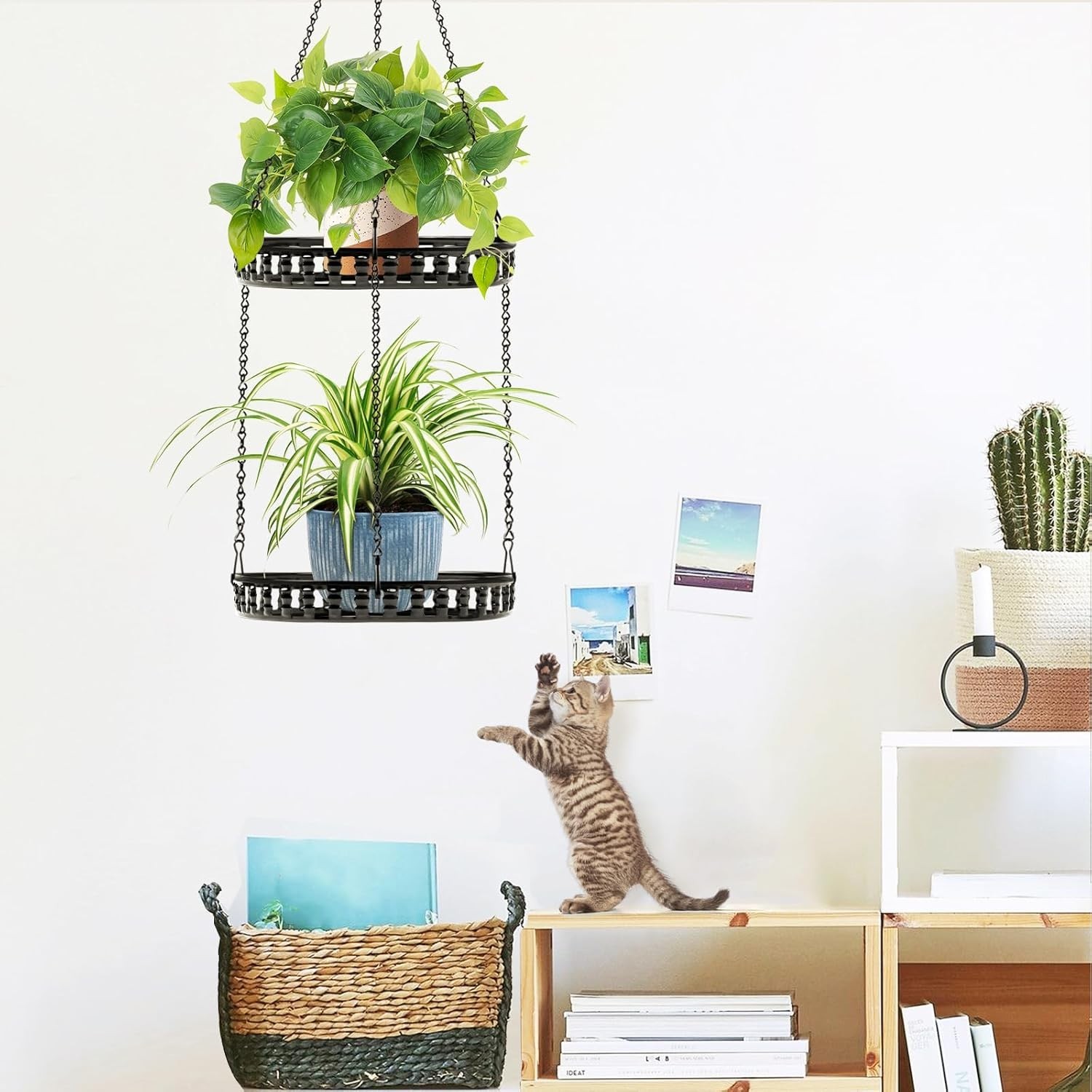 Plant Hanger Indoor Outdoor, 2 Tier Hanging Planter Plant Shelf, Metal Hanging..