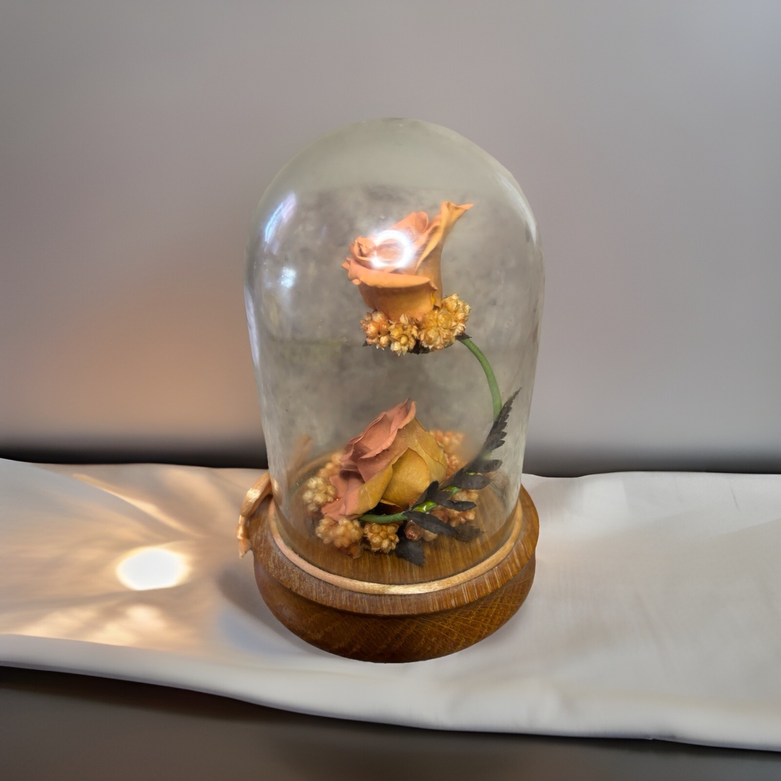 Vtg Globe Rose In Glass Dome Display With Wooden Base 5″ x 3.75″ x 3.75″