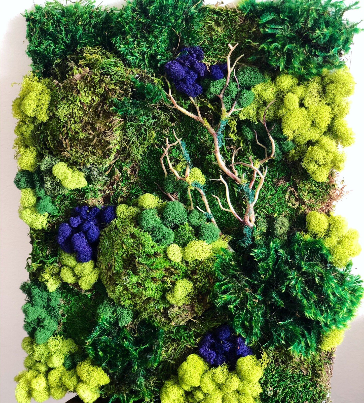 Moss Wall Art 11 X 14 3 Options