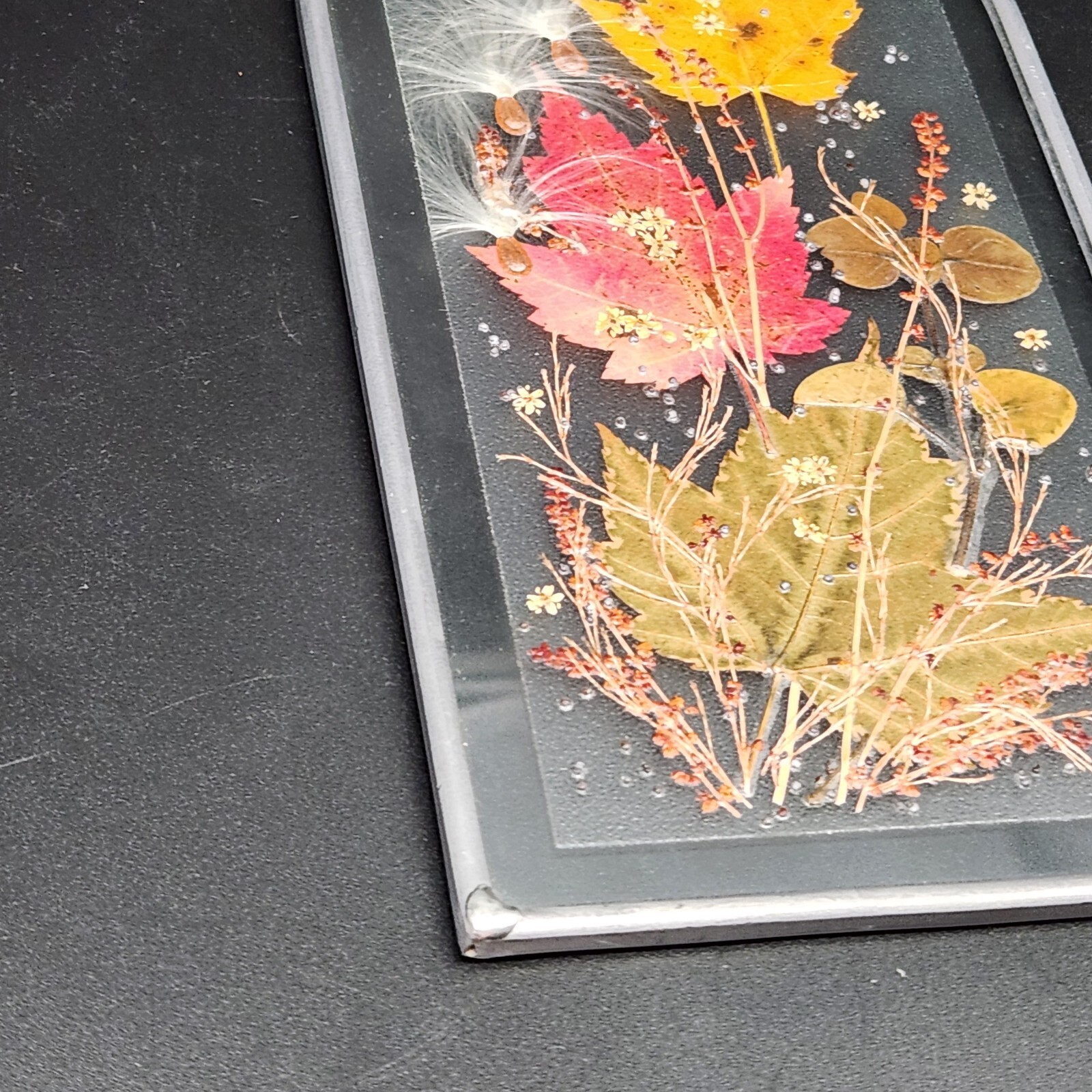 Canada Henni Original Pressed Leaves Seeds Glass Window Hanging Original Label