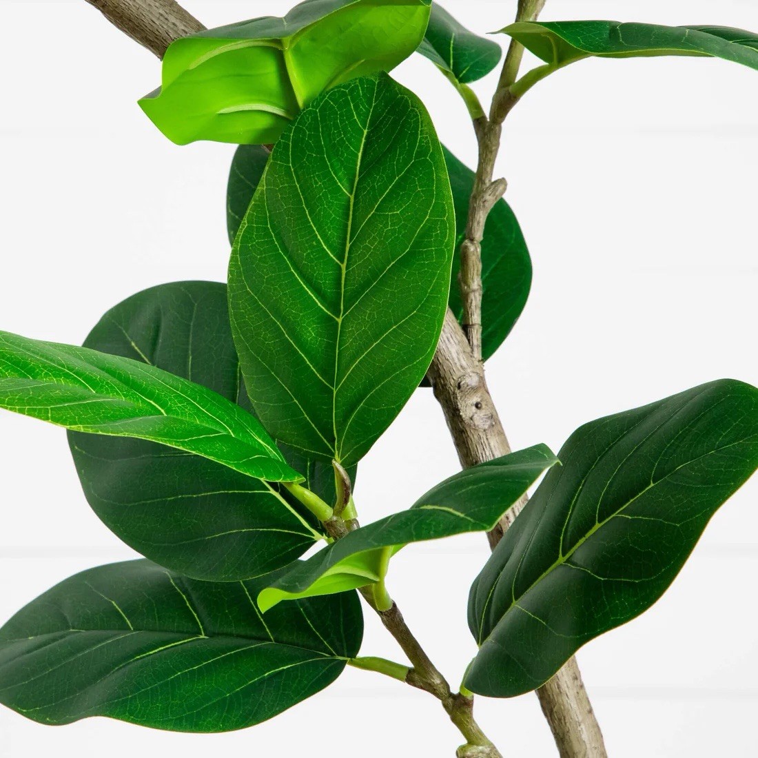 7′ Artificial Curved Trunk Audrey Ficus Tree