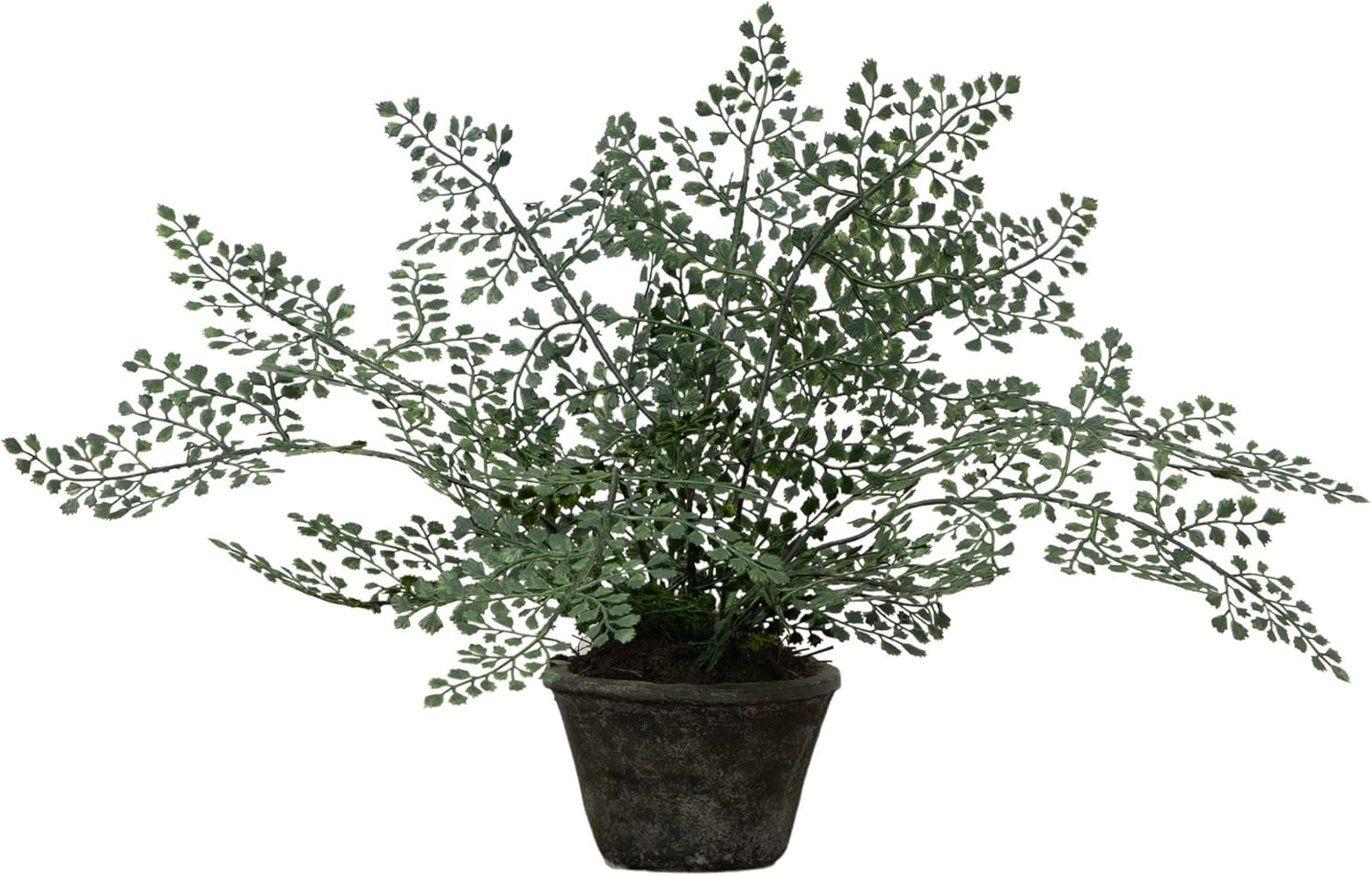 4251 Maiden Hair Artificial Plant in Planter Green Small