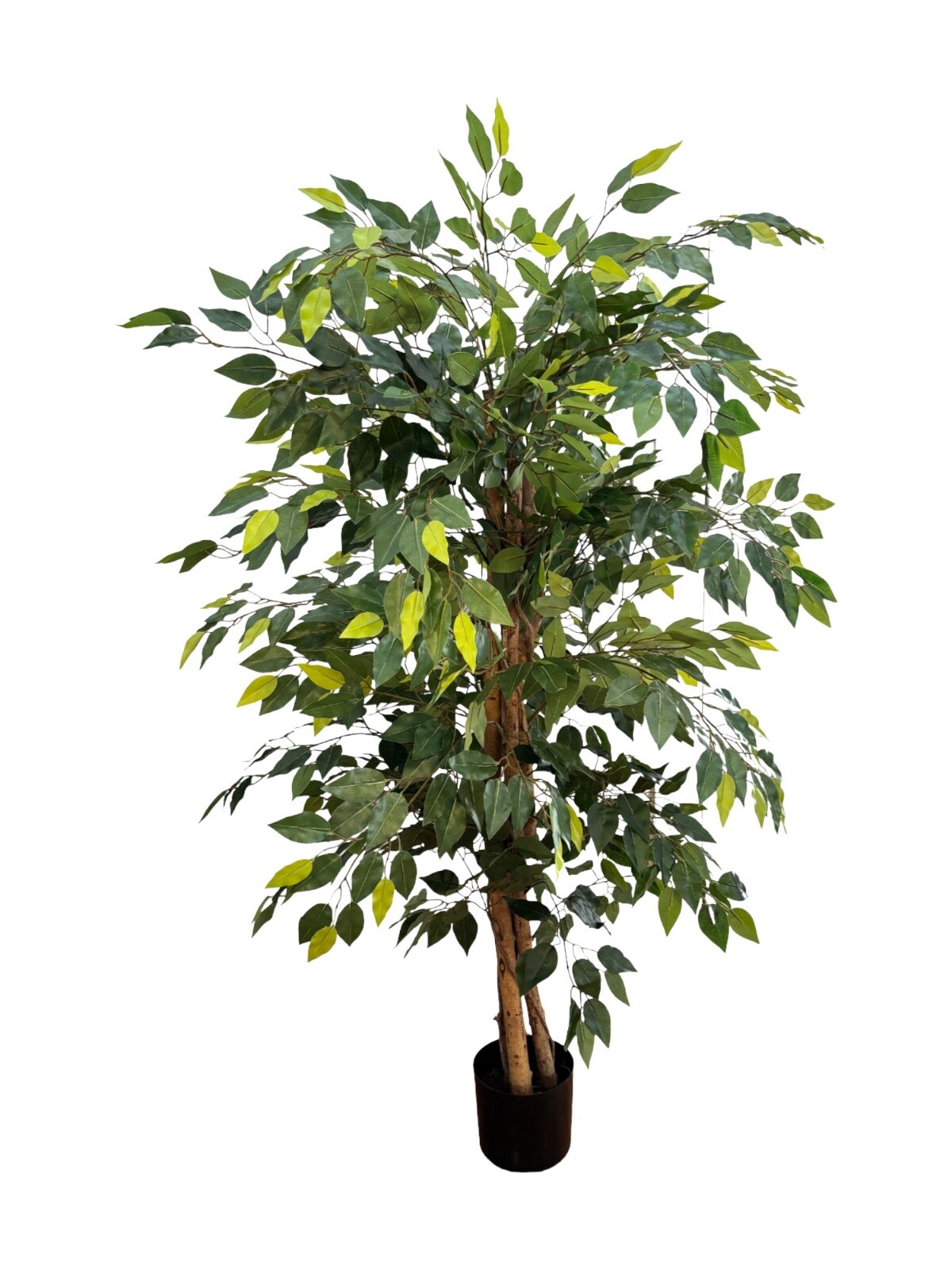 Wildwood & Cypress 60” Realistic Ficus Tree Wood Trunk Indoor Faux Decorative
