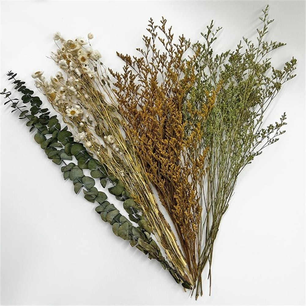 Pemberly Row 10-inch High Real Preserved Mixed Bouquets in Small Size