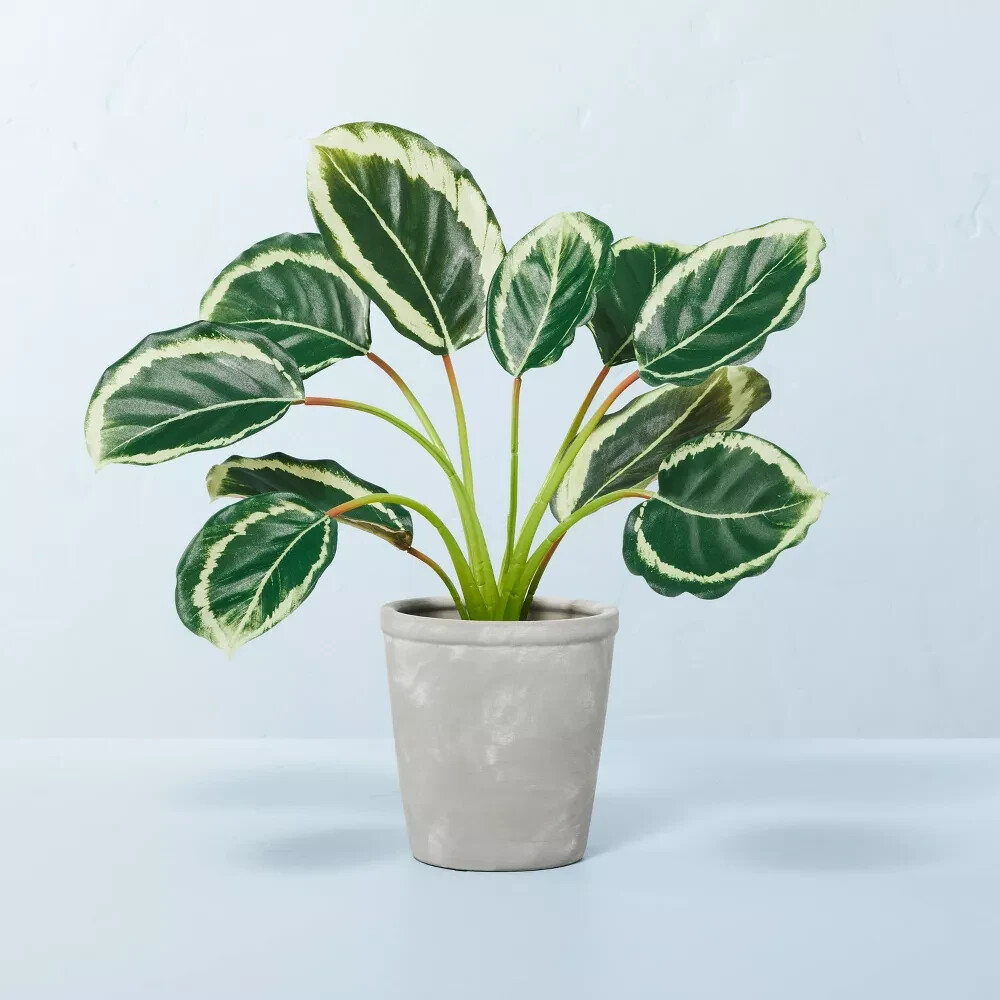 HEARTH & HAND WITH MAGNOLIA Faux Calathea Plant in Ceramic Pot, 14 in x 16 in
